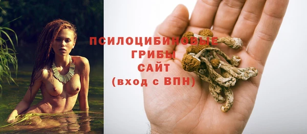 марихуана Бородино