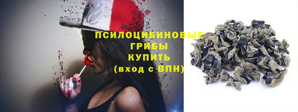 СК Верхний Тагил