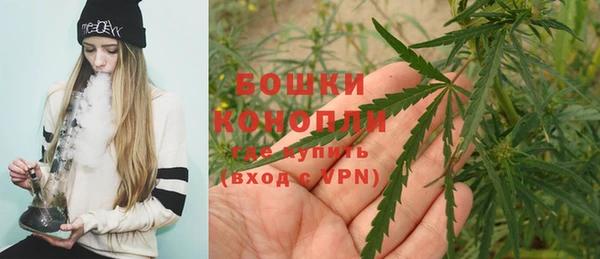 хмурый Бронницы