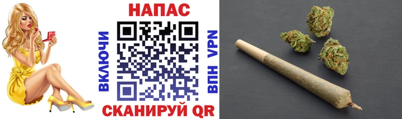 Бошки Шишки ГИДРОПОН Змеиногорск